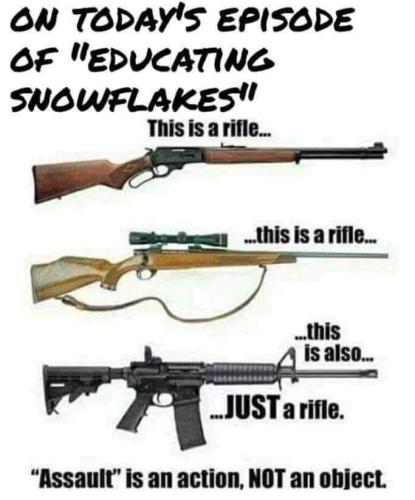 FB_IMG_1683211087038