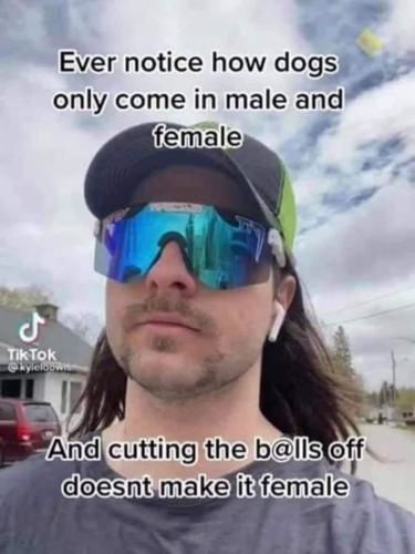 1684920271.761666