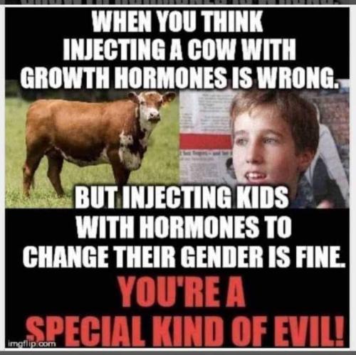 FB_IMG_1683652226841