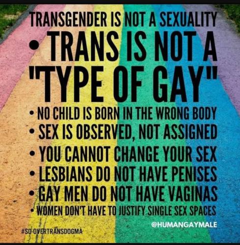 Screenshot_20230524_195322_YouTube