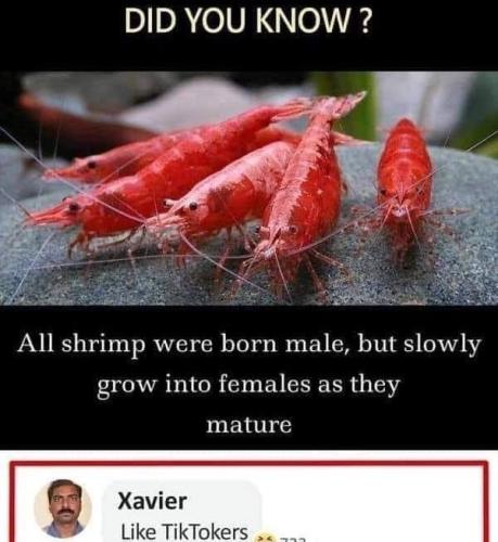 1684515476.171959