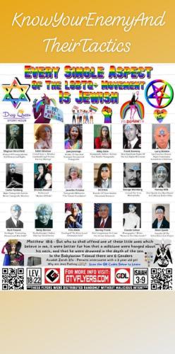 orca-image--992987139