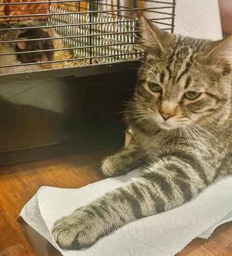 f1674d58-c858-4940-84f3-04eda8a273ea