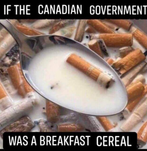 Screenshot_20230427-113911~4