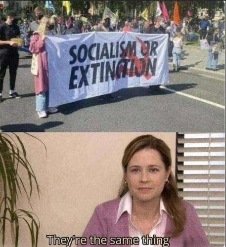 1684518396.595883