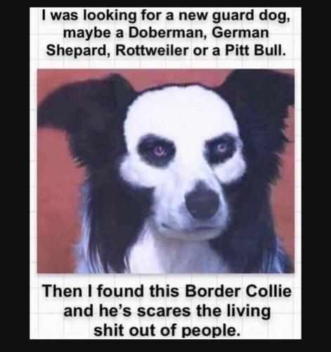 Screenshot_20230512_155644_YouTube