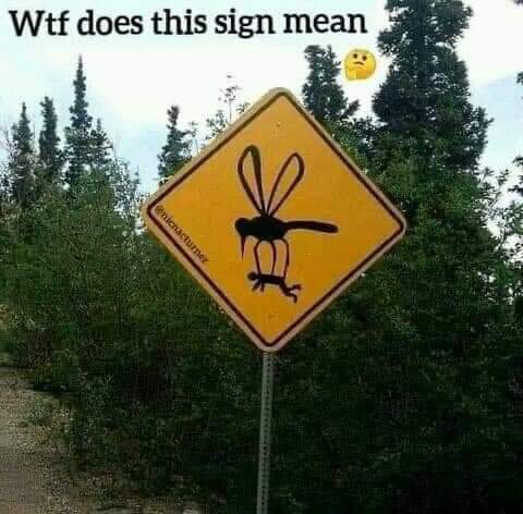 FB_IMG_1683052086051