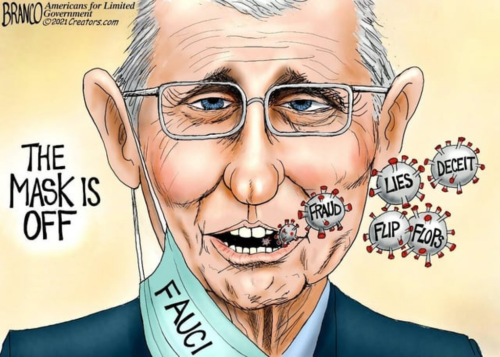 Fauci lies
