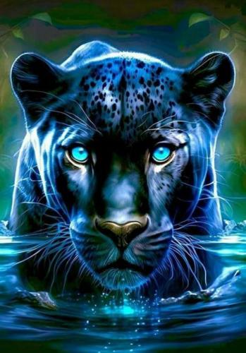 IMG_20230523_175654_156