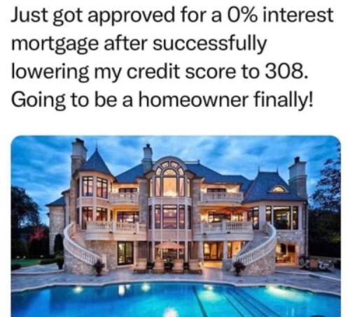 Homeowner 1