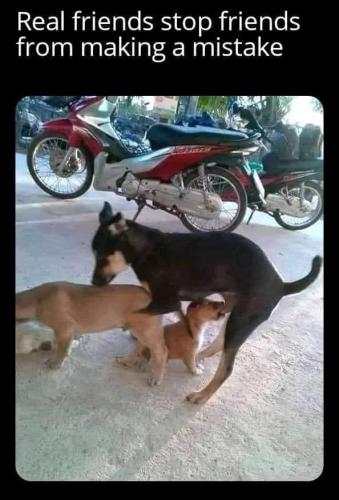 348275927_235377752455072_3016988654325346627_n