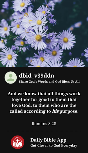 2023-05-091683686089512