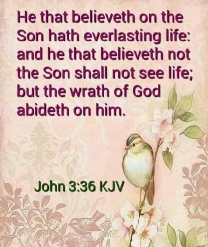 5acbeffc-93b2-44f2-8b6f-bbd534a717b3