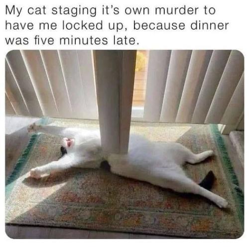 347375906_789124526069554_6862119033287587374_n