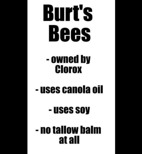 FB_IMG_1683121999665