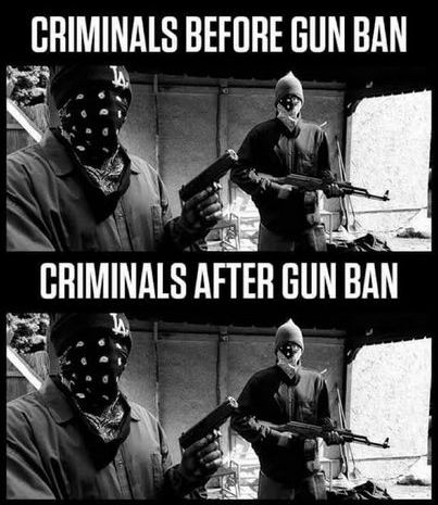 gun ban02