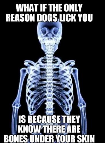 FB_IMG_1683143184855