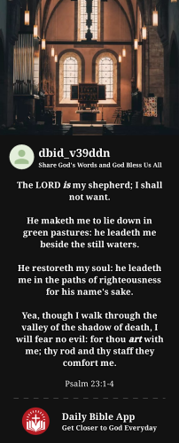 2023-05-161684277293193