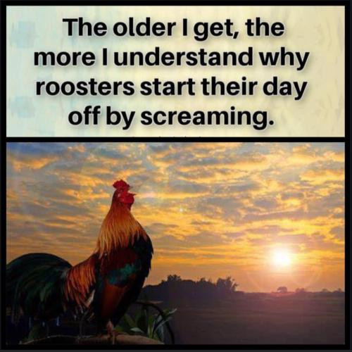 Screenshot_20230513_164148_Chrome