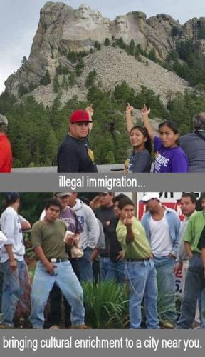 illegal immigration312