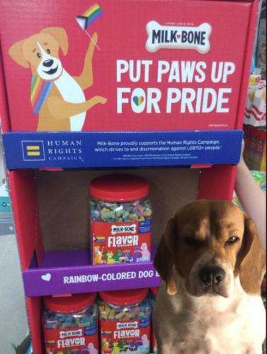 Pride 1