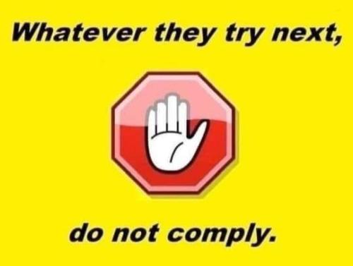 1684409578.48428