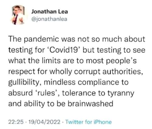 FB_IMG_1684689395333