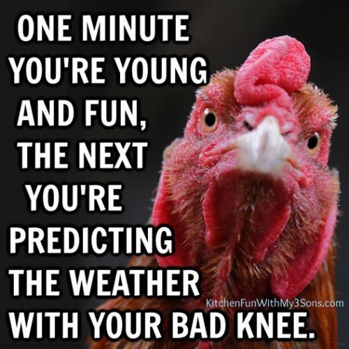 345033662_775181257572809_3867707337765863668_n