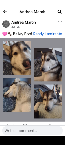 Screenshot_20230501-004035