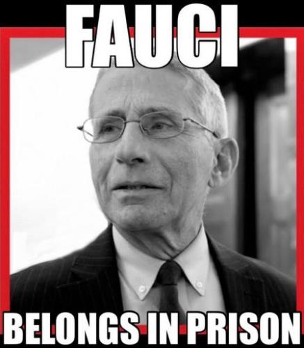 fauci276