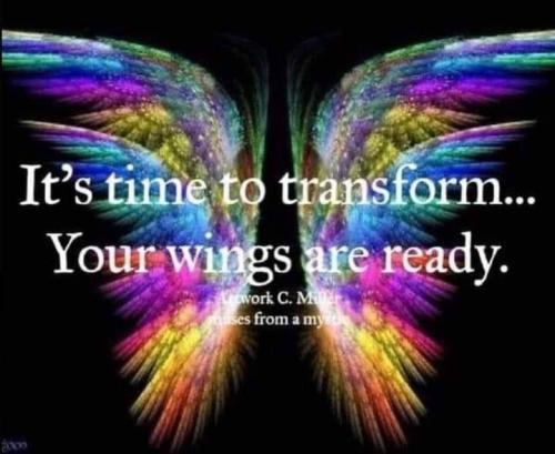 IMG_20230516_230437_415