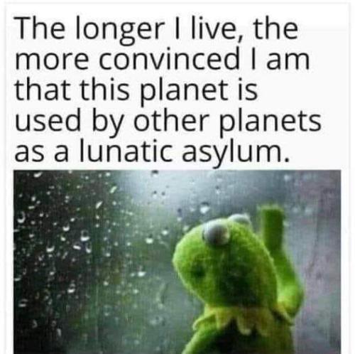 344179266_226135410111819_2473976415970725648_n