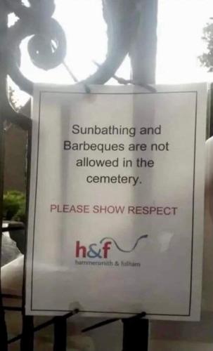 FB_IMG_1684332453248