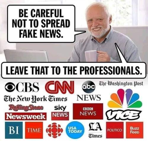 fake news professionals
