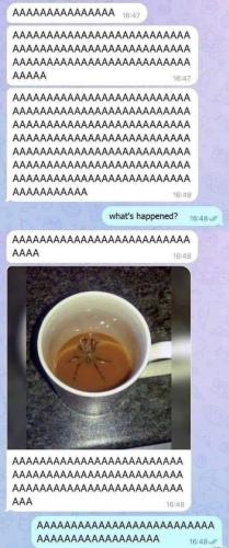 oh crap