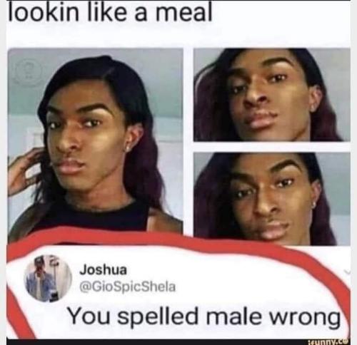 FB_IMG_1683825138389