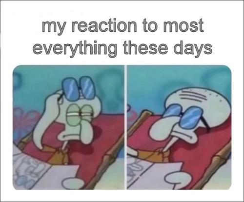 my reaction to most everything these days07