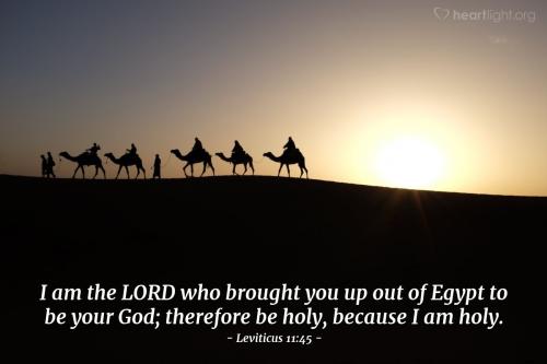 05-11-23 Leviticus 11_45