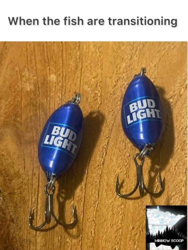 FB_IMG_1684277127892