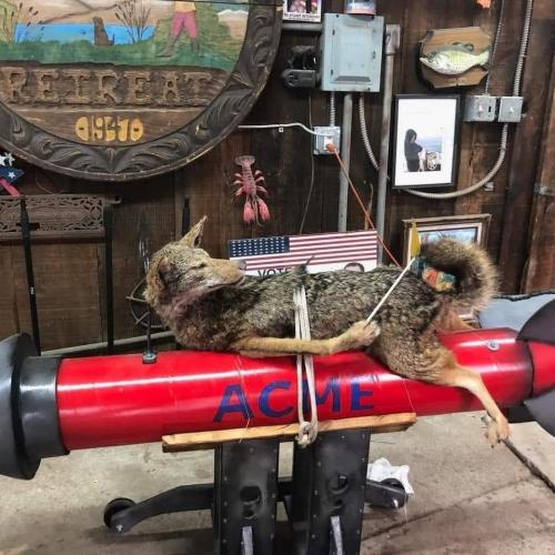 FB_IMG_1683055688647