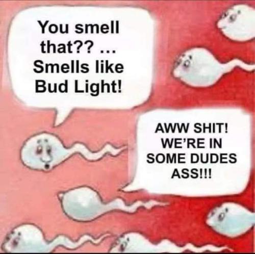 FB_IMG_1683610131429