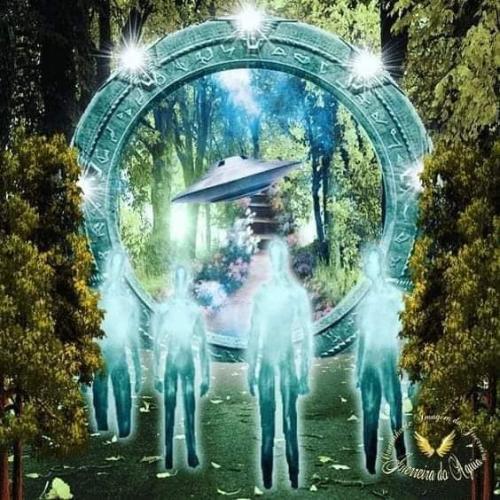 347290945_16706673734