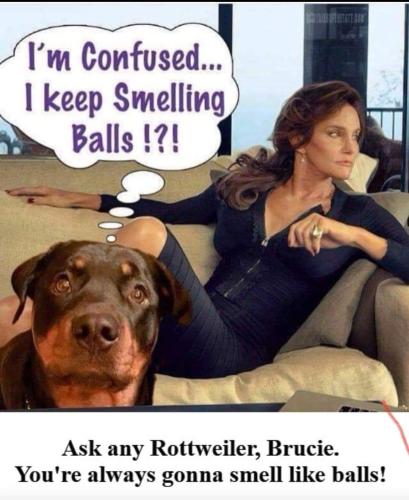 FB_IMG_1683142888052