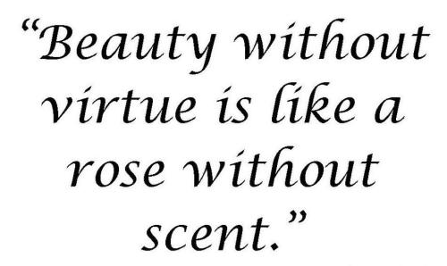 1C-Virtue - Megan Berge