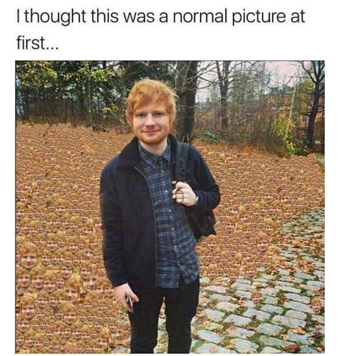 normal picture