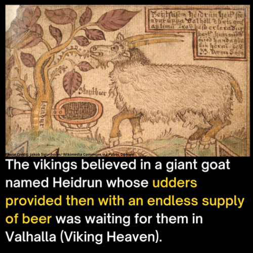 349832692_9281944758546486_7019322807131101664_n