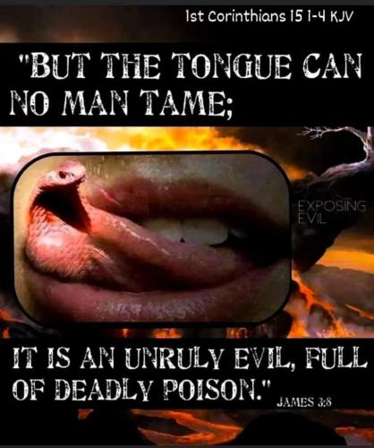 4228fda1-33ed-4c92-92ac-155994c962bd