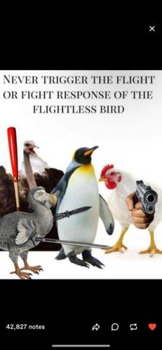 FB_IMG_1685036273690