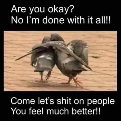 345051554_969044300892188_6047349948064753666_n