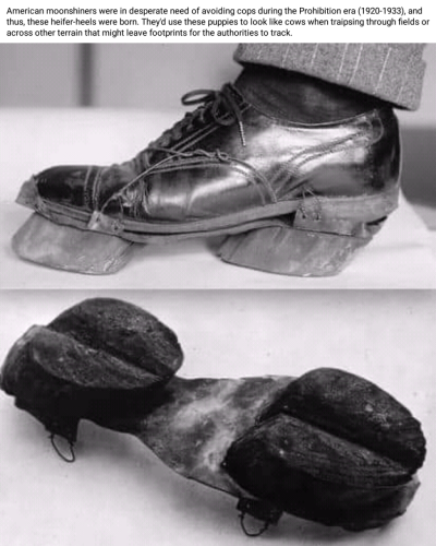 Screenshot_2023-05-14-01-52-23_kindlephoto-407808815